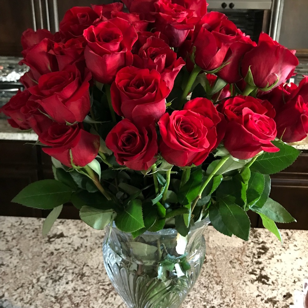 Meet your Posher, Shineay